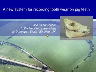 A new system for recording tooth wear on pig teeth