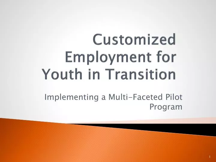 customized employment for youth in transition