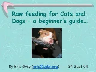 Raw feeding for Cats and Dogs – a beginner’s guide…