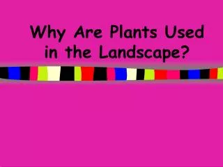Why Are Plants Used in the Landscape?