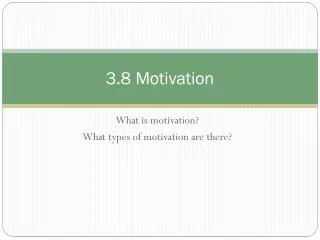 3.8 Motivation