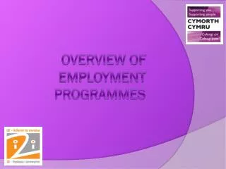 Overview of employment programmes