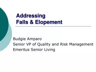Addressing Falls &amp; Elopement