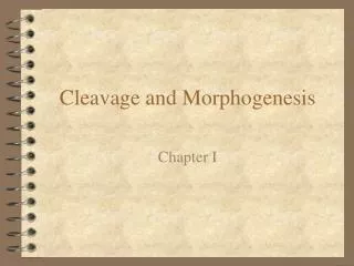 Cleavage and Morphogenesis