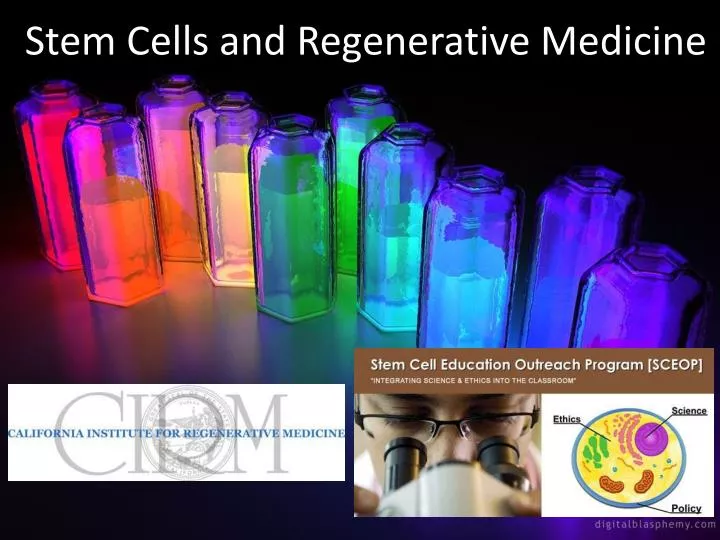 stem cells and regenerative medicine