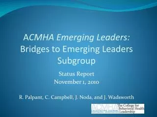 A CMHA Emerging Leaders: Bridges to Emerging Leaders Subgroup
