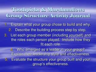 Toothpicks &amp; Marshmallows Group Structure Activity Journal