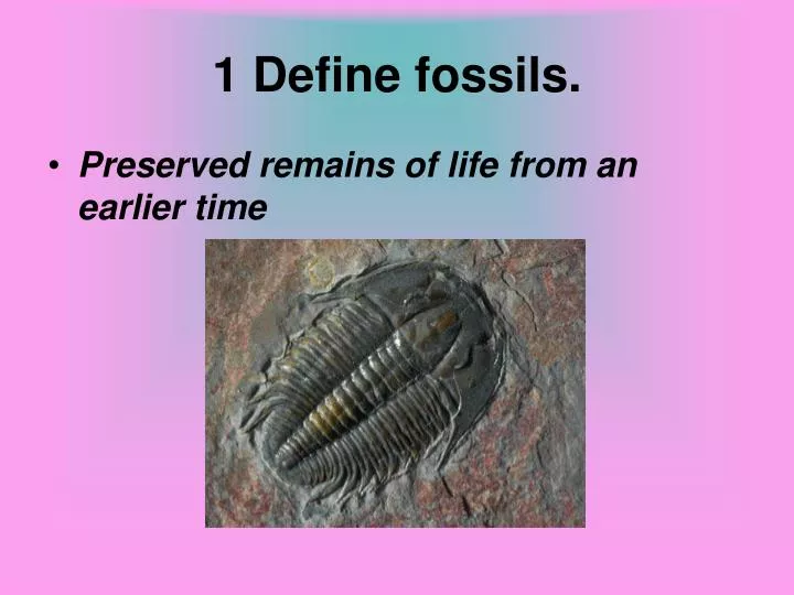 1 define fossils