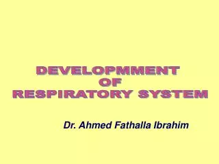 DEVELOPMMENT OF RESPIRATORY SYSTEM