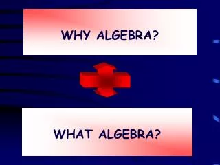 WHY ALGEBRA?