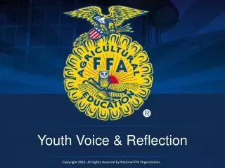 Youth Voice &amp; Reflection
