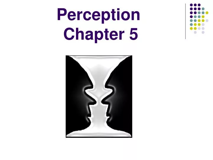 perception chapter 5