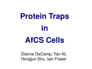Protein Traps in AfCS Cells