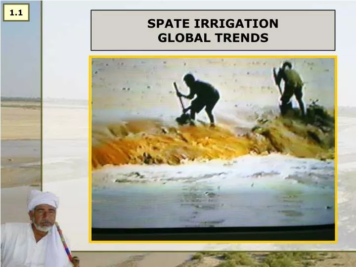 spate irrigation global trends