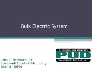 Bulk Electric System
