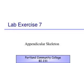 Lab Exercise 7