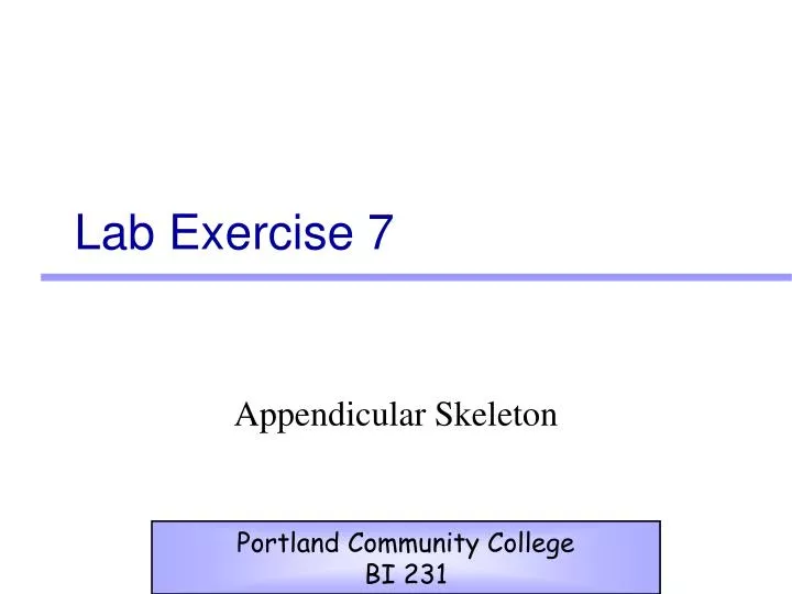 lab exercise 7