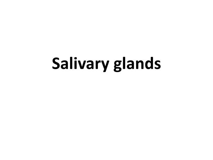 salivary glands