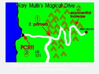 Mullis KB. The unusual origin of the polymerase chain reaction. Sci Am. 1990 Apr;262(4):56-61, 64-5