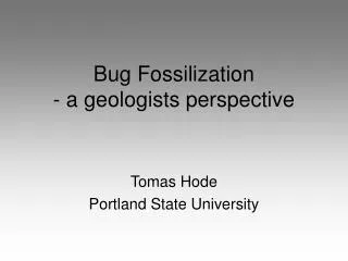 Bug Fossilization - a geologists perspective