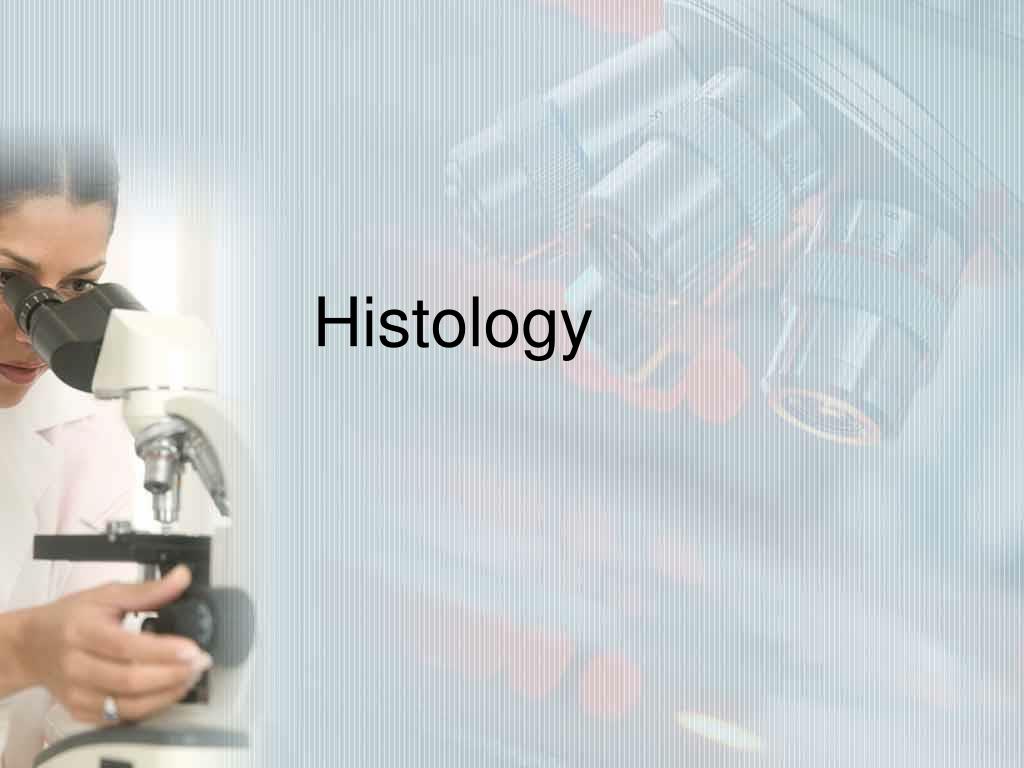 PPT - Histology PowerPoint Presentation, free download - ID:1799716