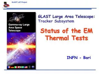 Status of the EM Thermal Tests
