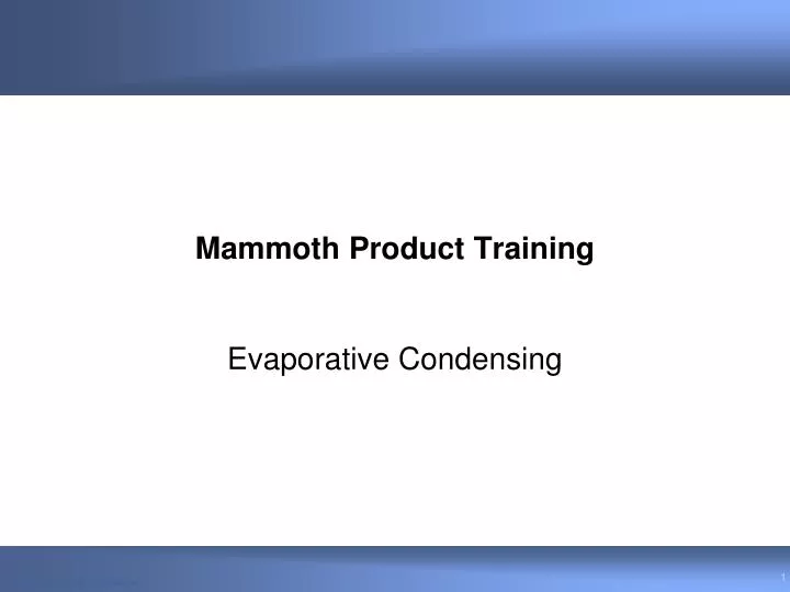 mammoth product training