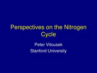 Perspectives on the Nitrogen Cycle