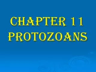 CHAPTER 11 PROTOZOANS