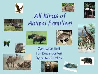 All Kinds of Animal Families!