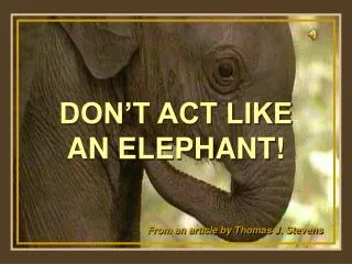 DON’T ACT LIKE AN ELEPHANT!