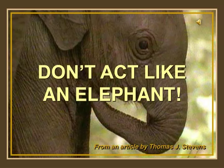don t act like an elephant