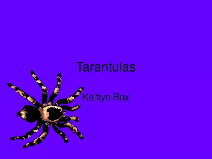 tarantulas