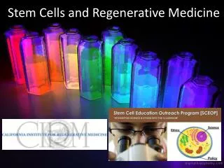 Stem Cells and Regenerative Medicine