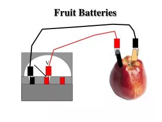 Fruit Batteries