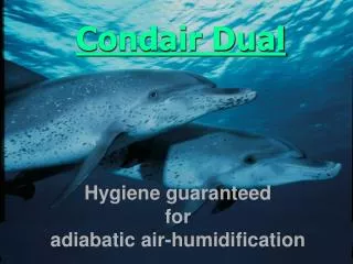 Condair Dual