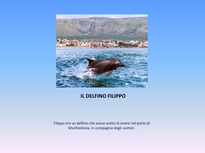 il delfino filippo