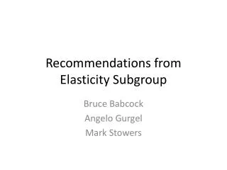 Recommendations from Elasticity Subgroup