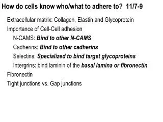 How do cells know who/what to adhere to? 11/7-9