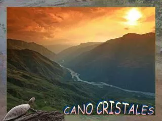 CANO CRISTALES