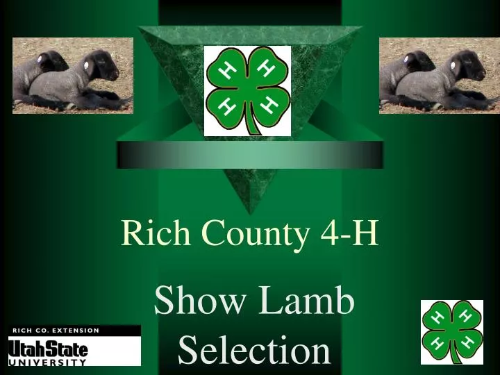 rich county 4 h