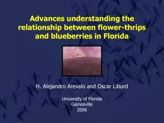 Advances understanding the relationship between flower-thrips and blueberries in Florida