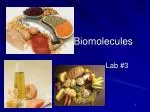 Biomolecules - slide 1