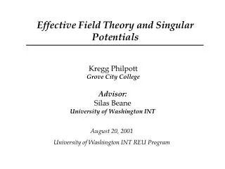 Effective Field Theory and Singular Potentials