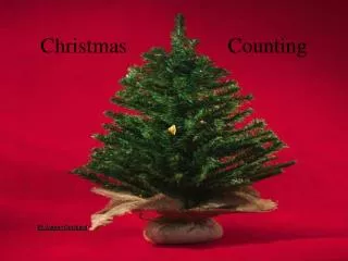 Christmas Counting