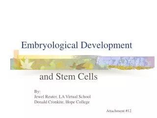 Embryological Development