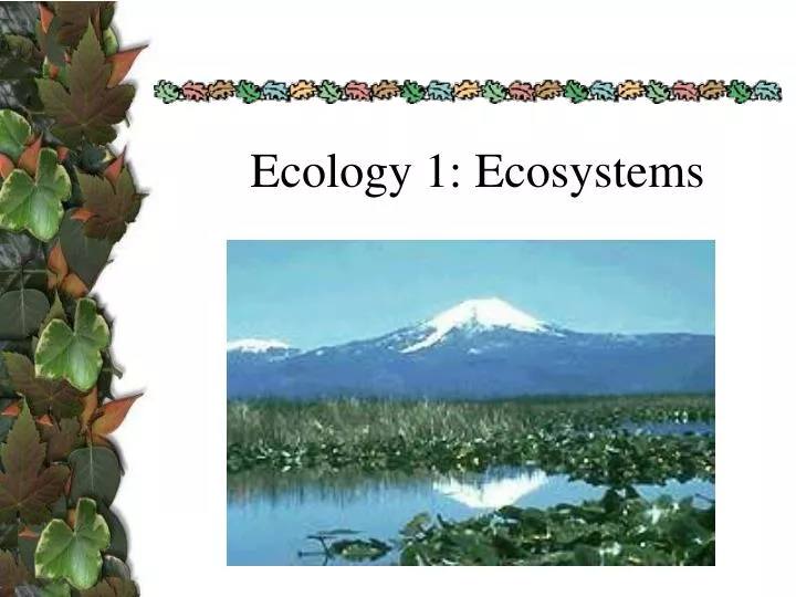 ecology 1 ecosystems