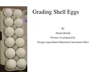 Grading Shell Eggs