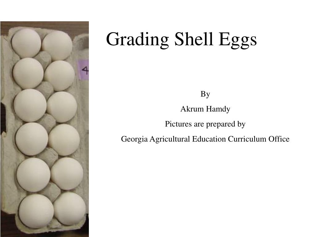 PPT - Grading Shell Eggs PowerPoint Presentation, free download - ID ...