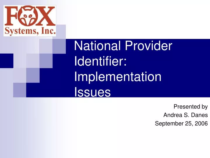 national provider identifier implementation issues